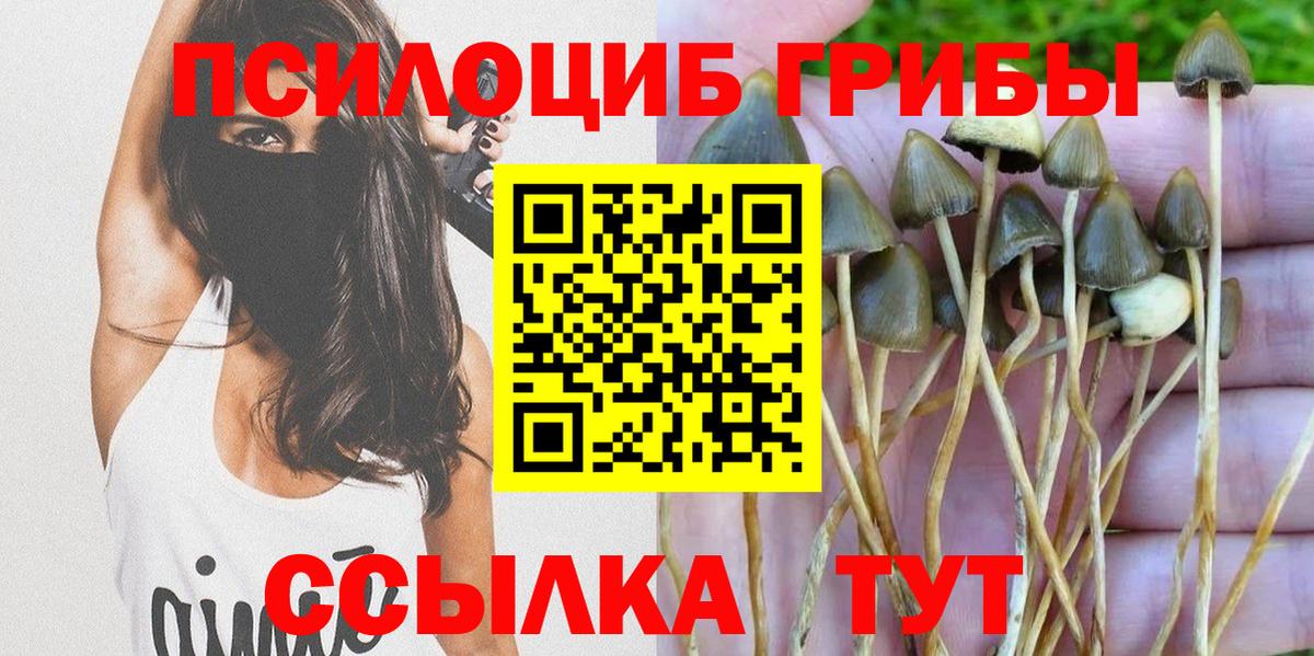 хочу наркоту  Вход с VPN  Томск  Галлюциногенные грибы ЛСД 