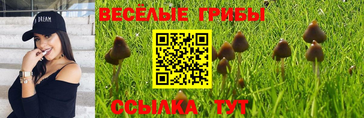 Галлюциногенные грибы мицелий Томск